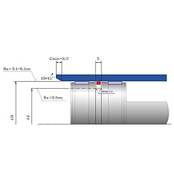 Piston Seals