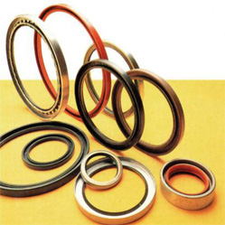Rotary Shaft Seals